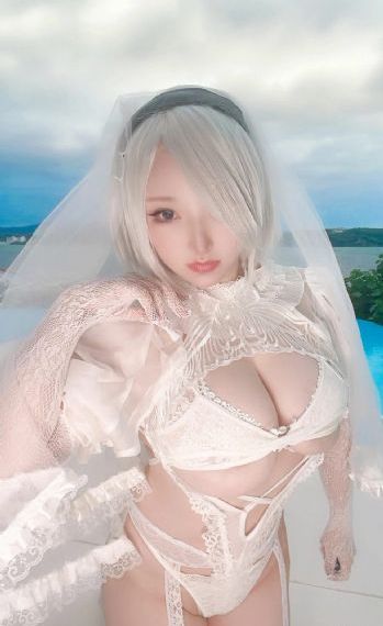 喜爱夜蒲观看