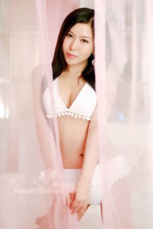 汪汪队立大功100集免费