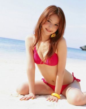 莲花电视剧