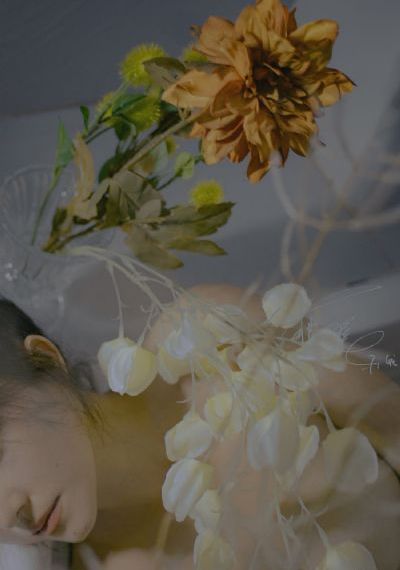 我妈妈的的朋友