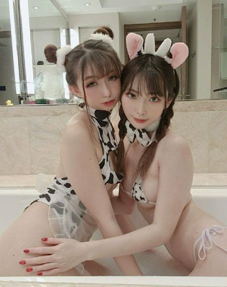 龙之家族