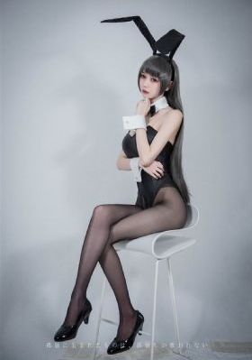 电视剧玫瑰故事免费观看
