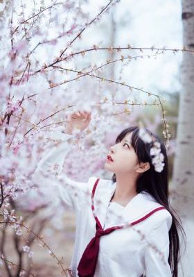 穿越成王妃短剧免费观看